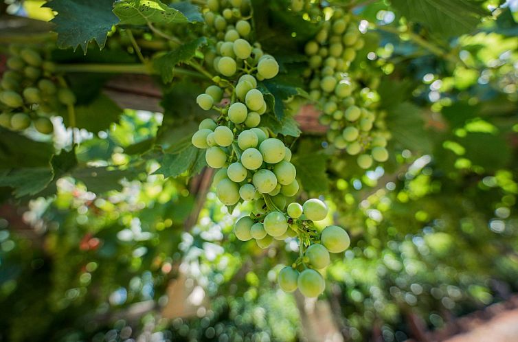 Appartement Casal del Borgo 7