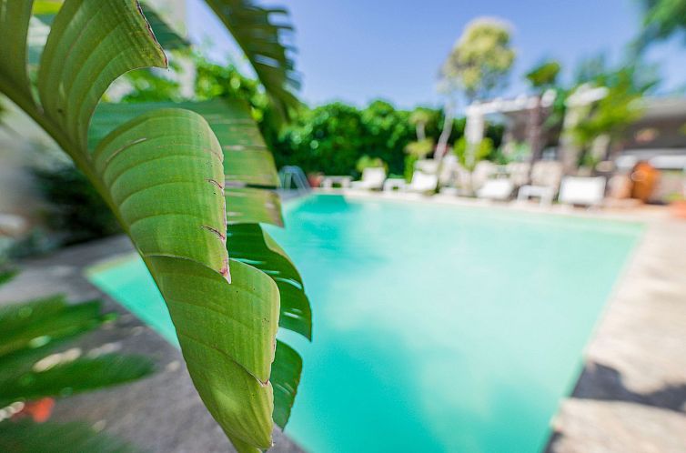 Appartement Casal del Borgo 3