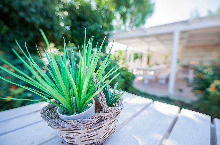 Appartement Casal del Borgo 3