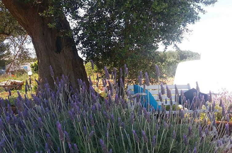 Appartement Trullo 'Vallegna' mit privatem Garten und Grill