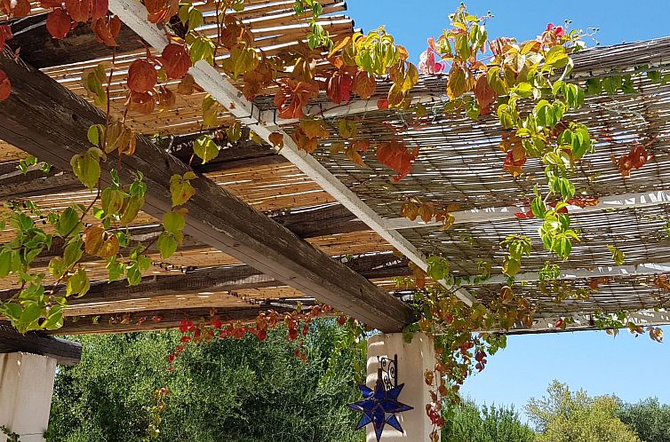 Appartement Picoco' Trullo mit privatem Garten und Grill