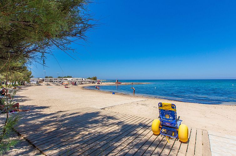 Appartement Flaches Meer aus Kiefernholz