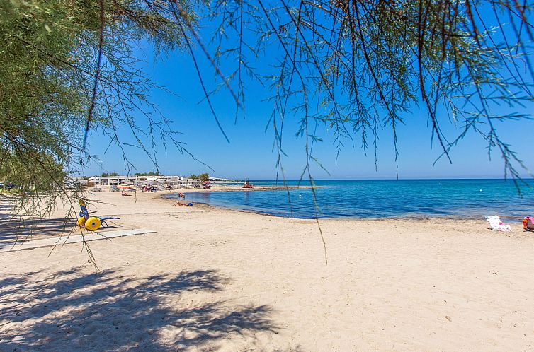 Appartement Flaches Meer aus Kiefernholz