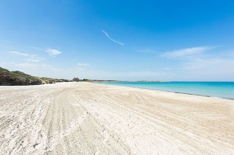 Appartement Flaches Meer aus Kiefernholz
