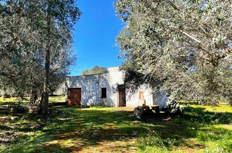 Verblijf 0850820 - Vakantiewoning Apulië / Puglia - Vrijstaande woning in Ceglia Messapica