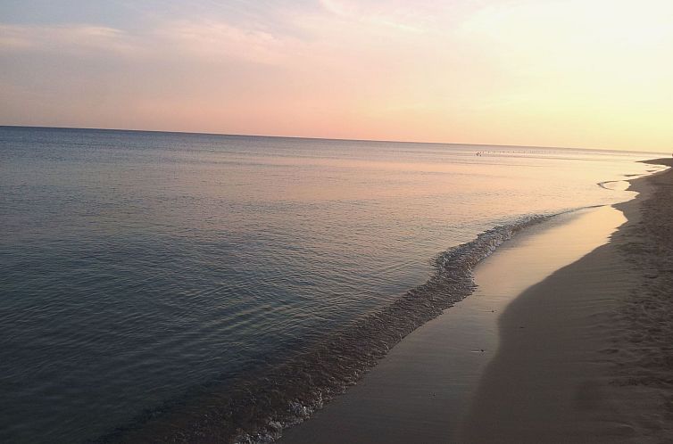 Appartement Il Fico - ganz in der Nähe des Meeres