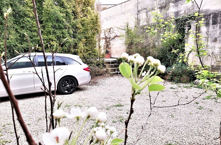 Appartement Agora-Wohnungen" in prestigeträchtigem historis