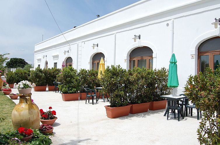 Guest house 0851211 - Apartment Apulia / Puglia - Appartement VERDE