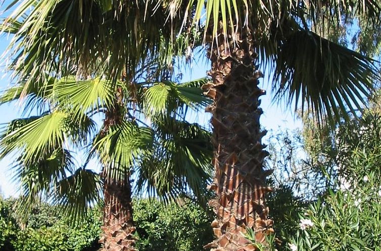 Appartement San Martino' Wohnung mit Privatparkplatz