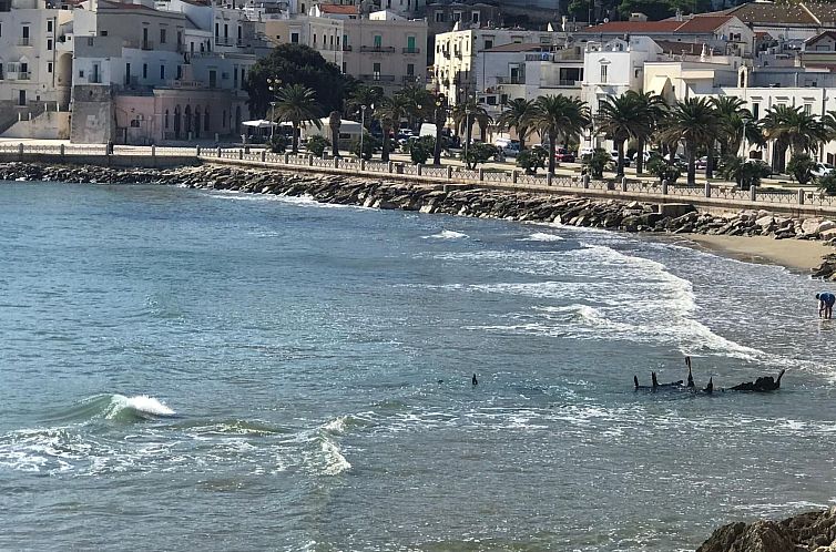 Appartement Wohnung in Vieste