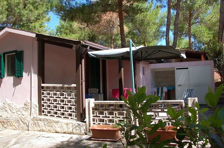 Guest house 0852223 - Apartment Apulia / Puglia - Appartement Wohnung in Vieste mit Privatparkplatz