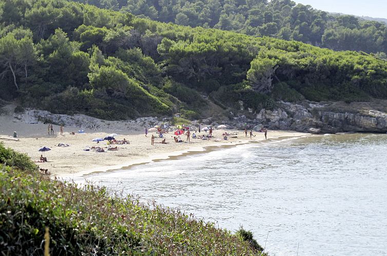 Appartement Gemütliche Wohnung in Vieste mit Grill