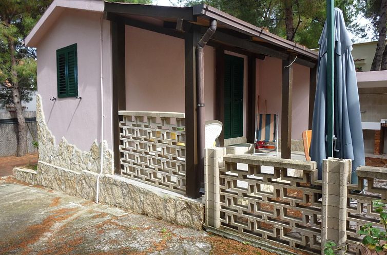 Guest house 0852230 - Apartment Apulia / Puglia - Appartement Orchideen-Ferienwohnung mit überdachter Veranda