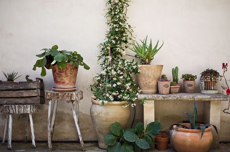 Appartement Wohnung 'Nuvole Barocche' mit Balkon