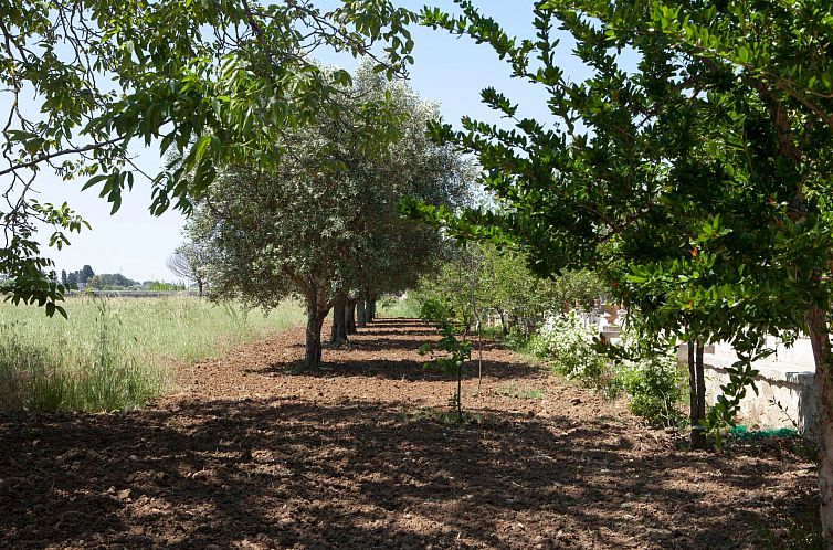 Vakantiehuis bedbreakfast