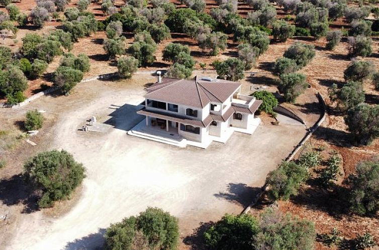 Guest house 0853412 - Holiday property Apulia / Puglia - Vrijstaande woning in San Vito dei Normanni