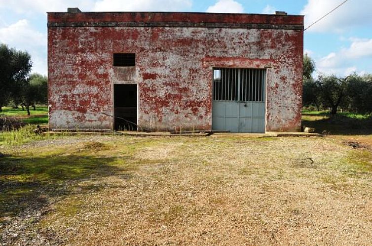 Guest house 0853418 - Holiday property Apulia / Puglia - Vrijstaande woning in San Vito dei Normanni