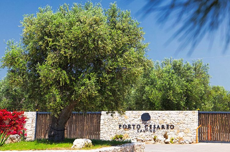 Vakantiehuis Happy Standard