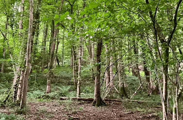 Huisje in Hastière