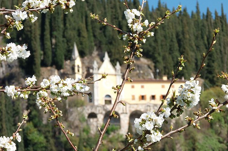 Unterkunft 0870303 - Appartement Dolomiten - Appartement Anwesen mit Garten, Grill und Terrasse