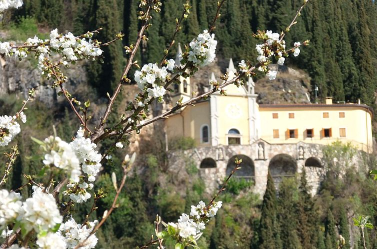 Appartement Anwesen mit Garten, Grill und Terrasse