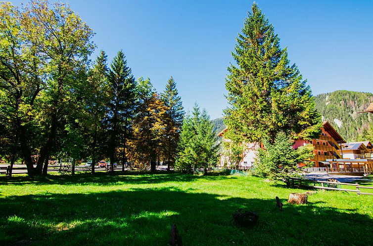 Appartement Cesa Minach