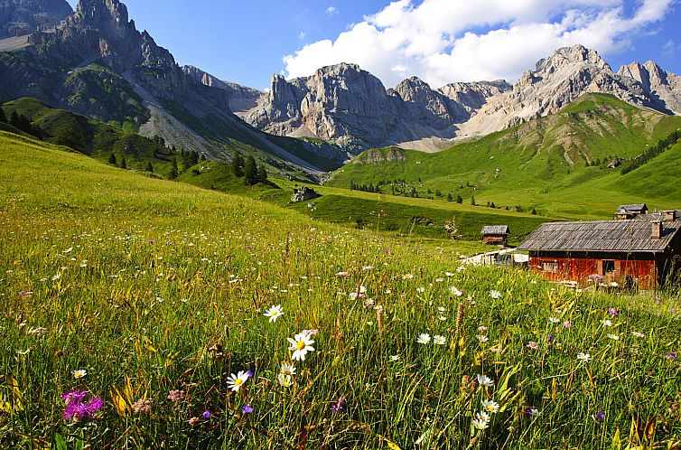 Appartement Brunel (SOF773)