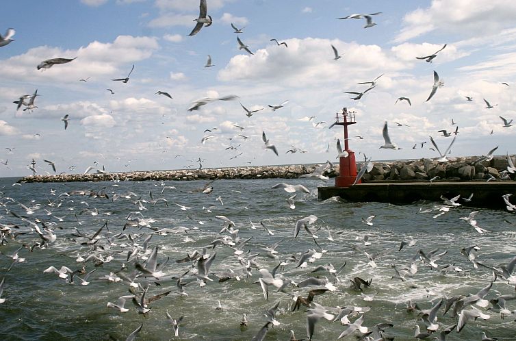 Vakantiehuis Haus in Lido Di Volano mit Terrasse, Garten und