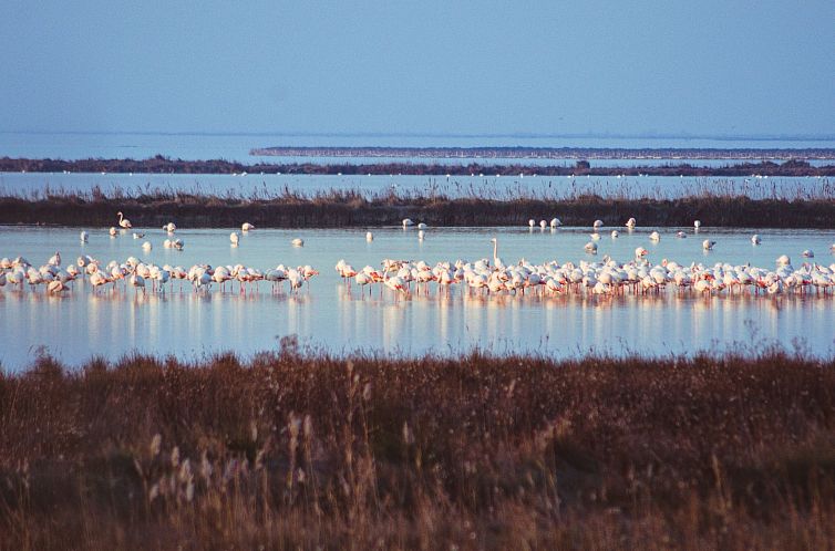 Appartement Attraktives Studio in Strandnähe, Klima