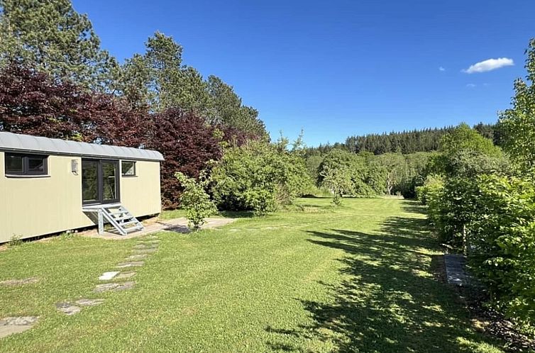 Pine Tree Tiny Cottage