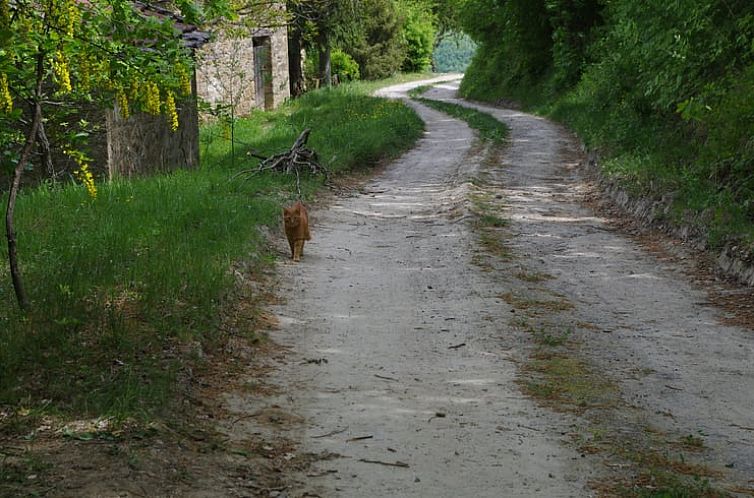 Vakantiehuis in Castel del Rio