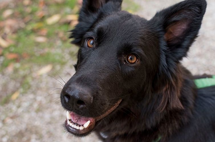 Vakantiehuis in Castel del Rio