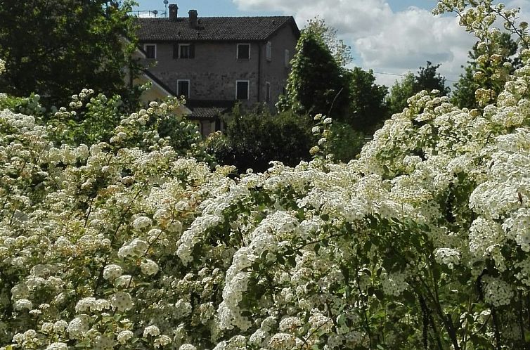 Appartement wohnung "Angelica" auf einem Bauernhof