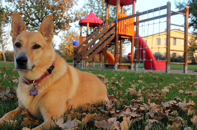 Appartement Wohnung "Ninfea" auf einem Bauernhof