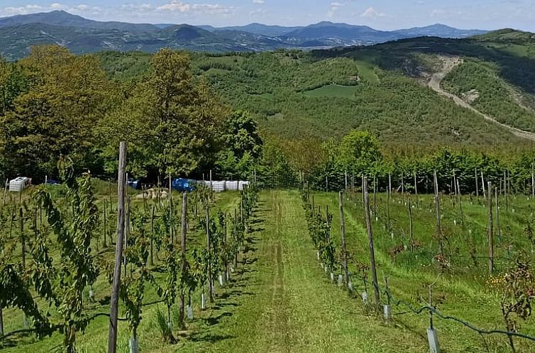 Vakantiehuisje in Casaselvatica