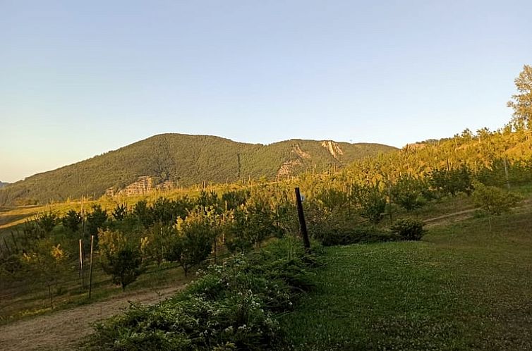 Vakantiehuisje in Casaselvatica