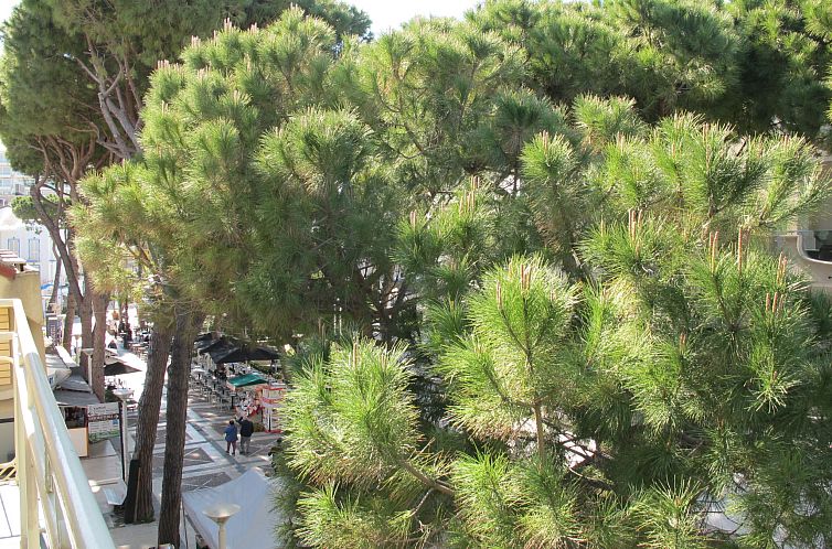 Appartement Bellavista