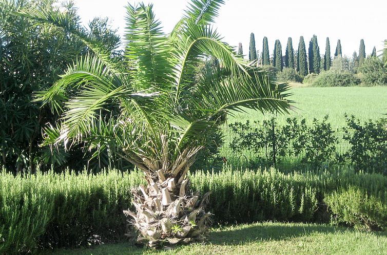 Appartement Le Camelie