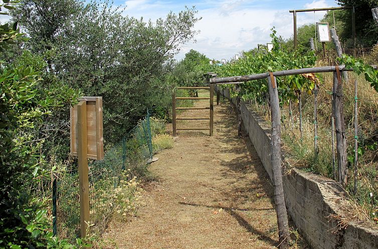 Appartement Paradiso Selvaggio