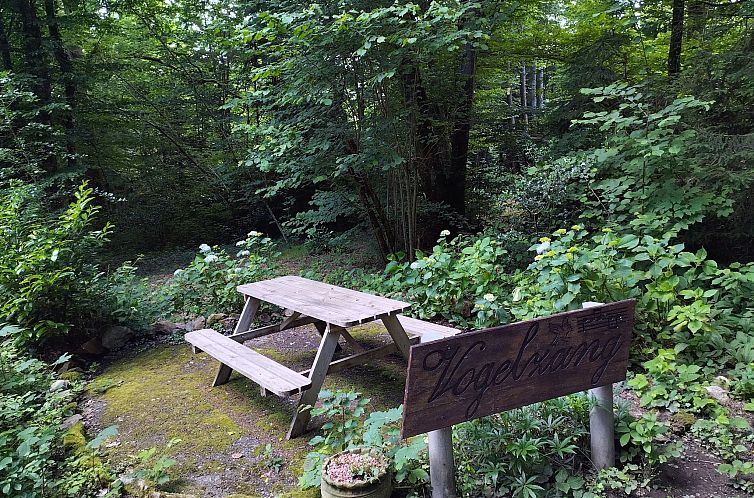 Chalet Vogelzang - Domaine des Nobertins