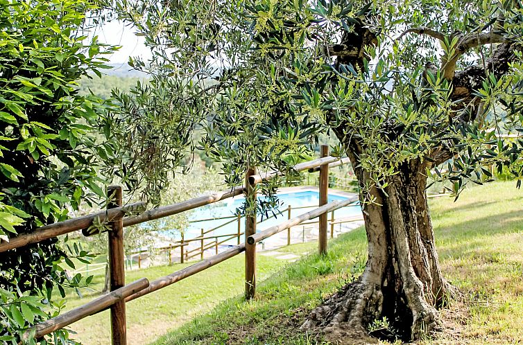 Appartement Malagronda