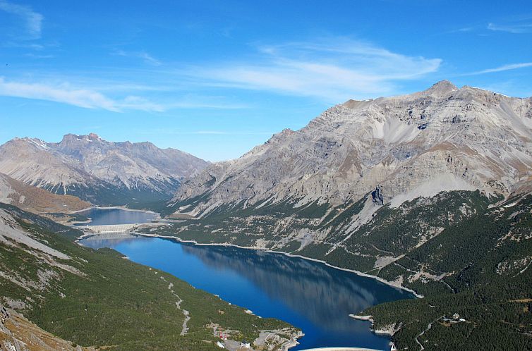 Appartement Erica Apartment