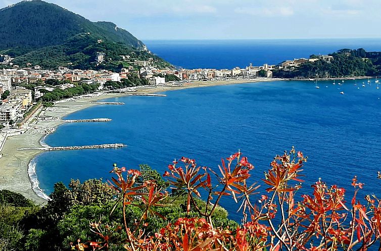 Appartement Brunetta