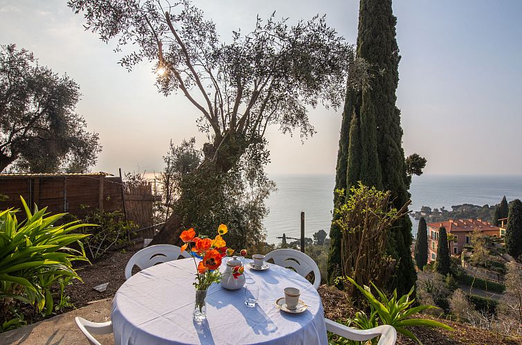 Guest house 0900708 - Apartment Liguria - Appartement Margherita