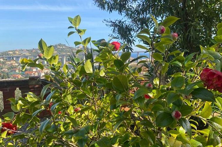 Vrijstaande woning in Imperia