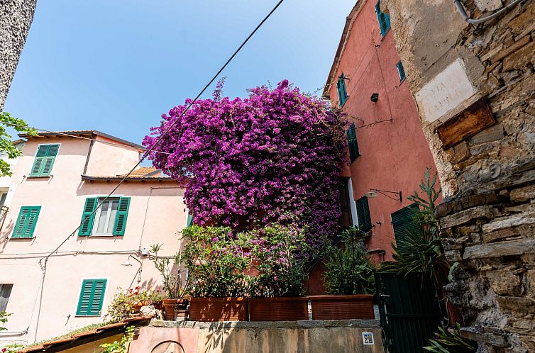 Vakantiehuis Kleiner Berg