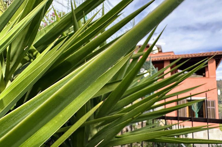 Vakantiehuis Haus Perlei