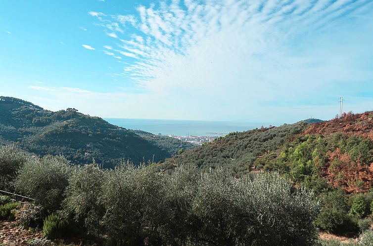 Vakantiehuis Il Terebinto (IMP427)