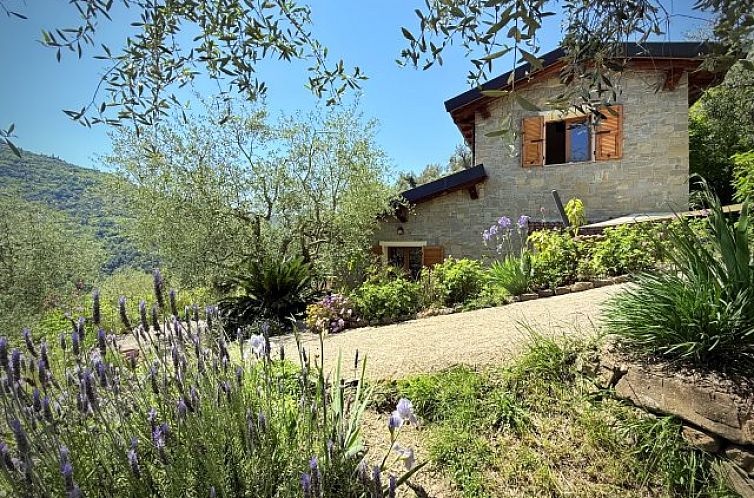 Unterkunft 09014408 - Ferienhaus Ligurien - Vrijstaande woning in Apricale