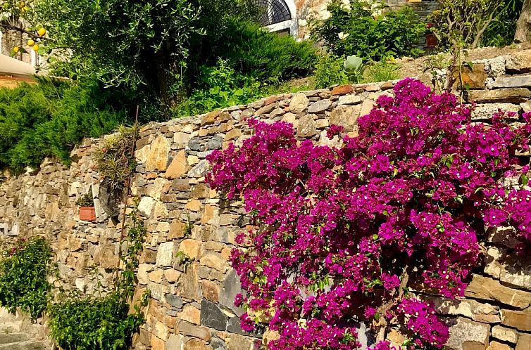 Appartement Casa Belvedere